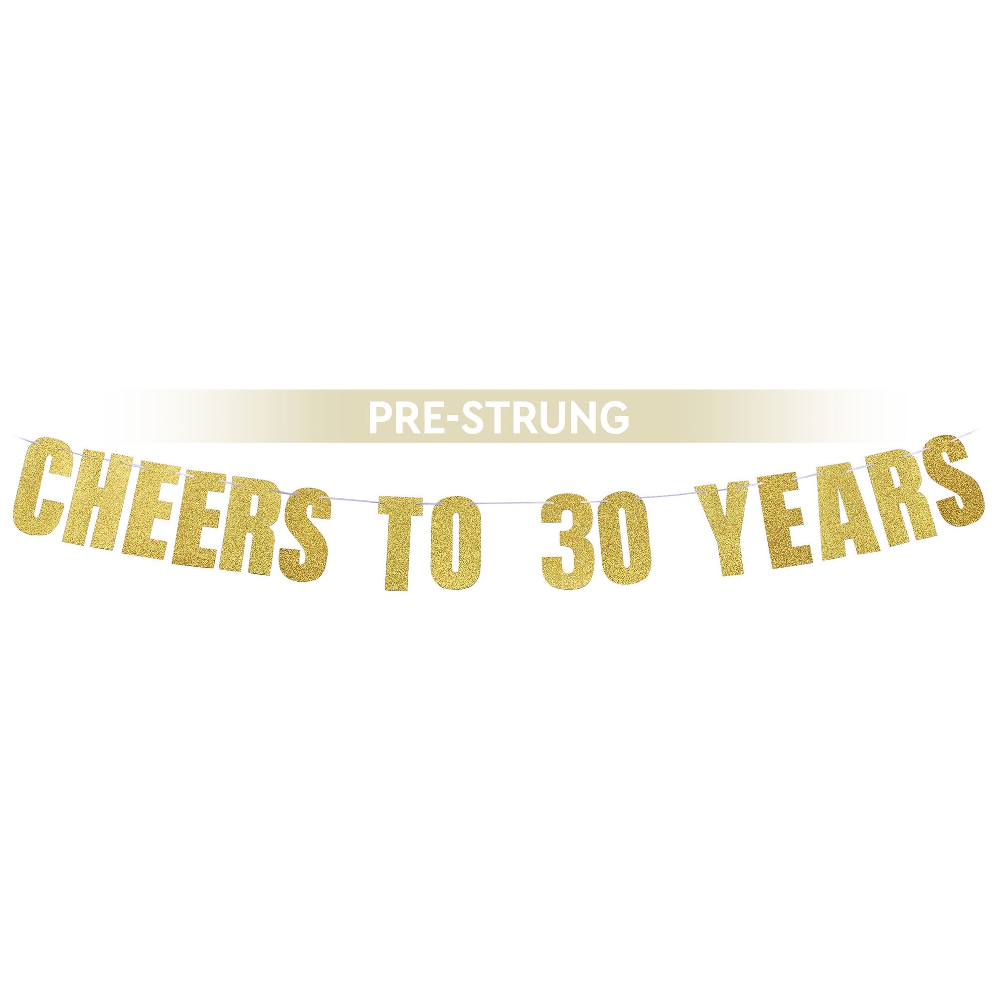 Cheers To 30 Years Banner (Pre-strung)